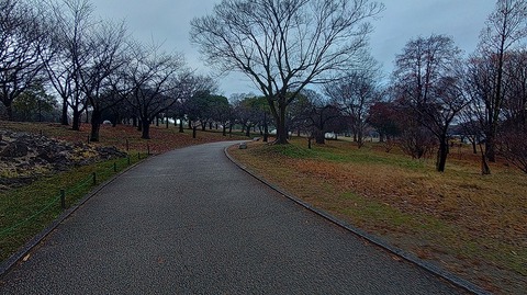 KIMG20251224_072557270