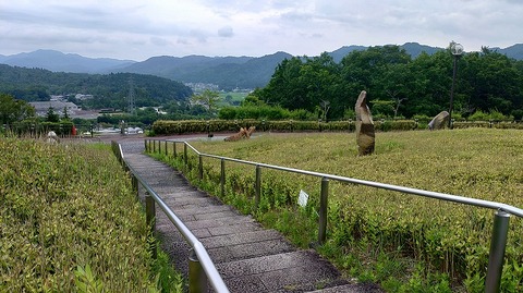 KIMG20260704_113126645