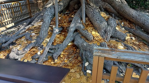 KIMG20260222_114304848