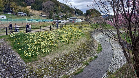 KIMG20260331_112334870