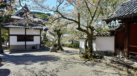 KIMG20260408_105046031