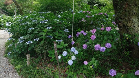 KIMG20260618_100920429