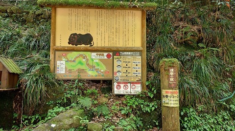 KIMG20260417_121813331