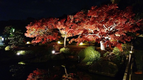 KIMG20251121_175925682