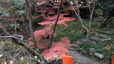 KIMG20251202_125711221