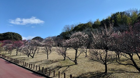 KIMG20260219_121609473