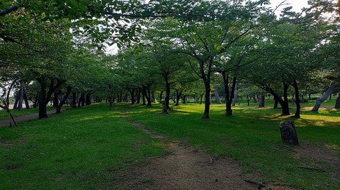 KIMG20260612_061634024