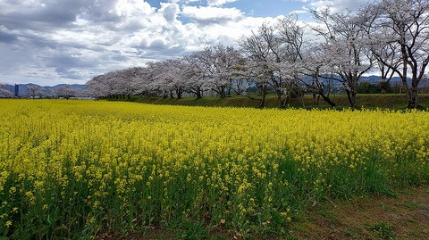 KIMG20260331_103843816