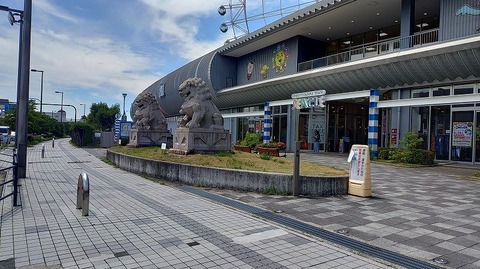KIMG20260819_122948502