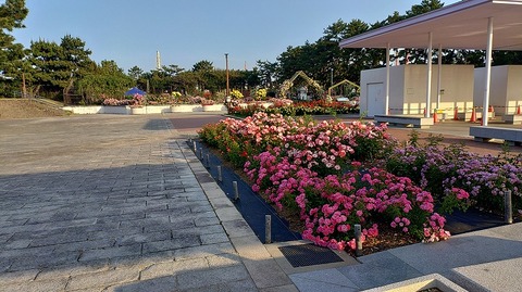 KIMG20260519_061545478