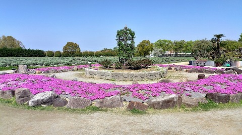 KIMG20260408_095941262