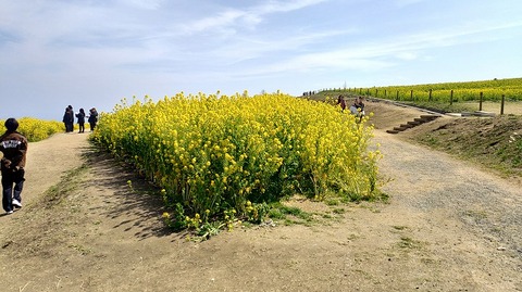 KIMG20260324_114851660