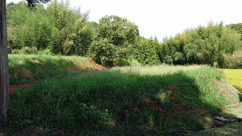 KIMG20251002_110426818