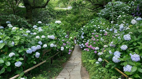 KIMG20260618_101041739
