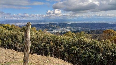 KIMG20251119_134624632