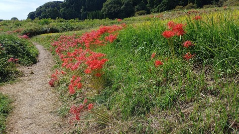 KIMG20251002_110908045