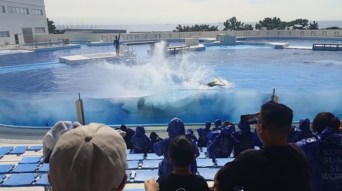 KIMG20251008_113642748