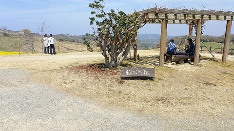 KIMG20260324_115354895