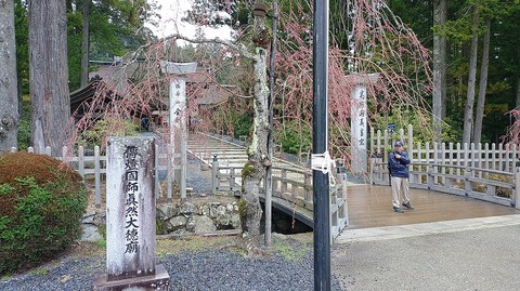 KIMG20260407_094242278