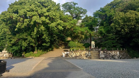 KIMG20260601_060518910