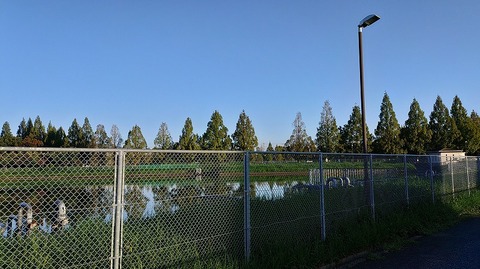 KIMG20261001_065309199