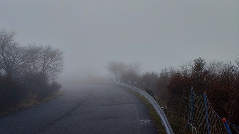 KIMG20260407_101409448