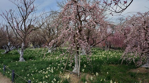 KIMG20260224_124001774