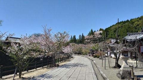 KIMG20260408_104146488