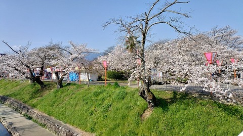 KIMG20260403_083341132