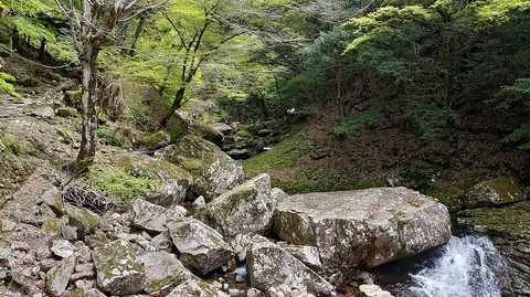 KIMG20260417_121611427