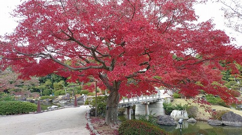 KIMG20251203_102032232