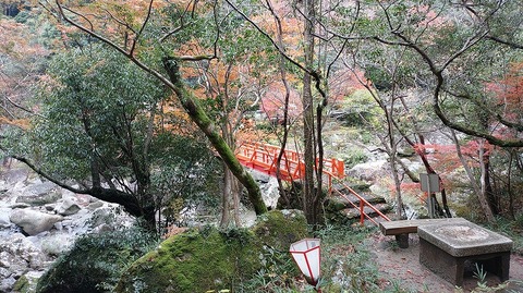 KIMG20251202_125811497