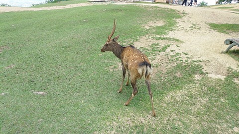 KIMG20250917_114557006