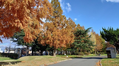 KIMG20251204_130132592