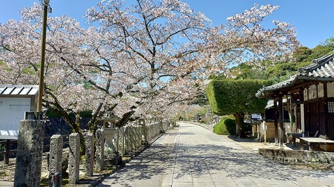 KIMG20260408_104224722