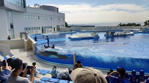 KIMG20251008_113036667