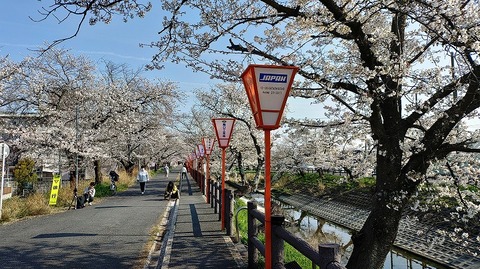 KIMG20260403_082721817