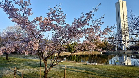 KIMG20260312_071241964