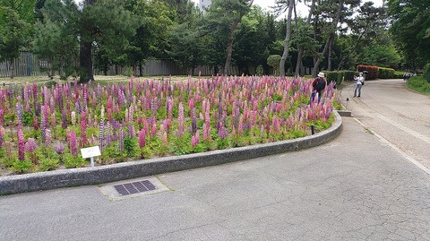 KIMG20260422_100542584