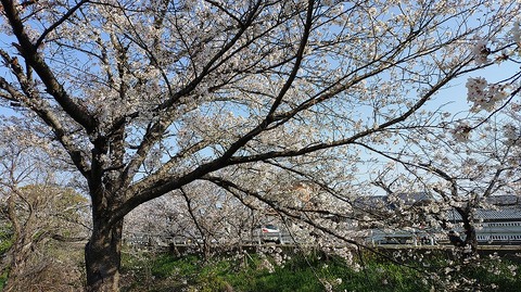 KIMG20260403_082157564