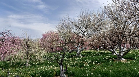 KIMG20260224_124140762