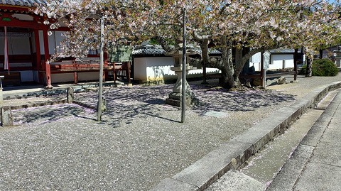 KIMG20260408_104011525