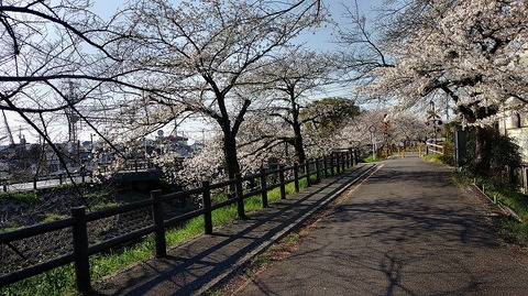 KIMG20260403_084315245