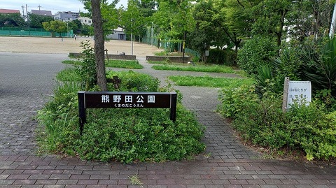 KIMG20260703_080233817