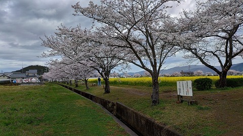 KIMG20260331_103724235