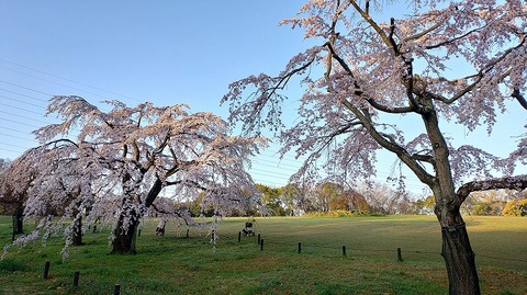 KIMG20260327_062642863