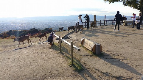 KIMG20251119_152413871