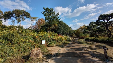 KIMG20251128_130529012