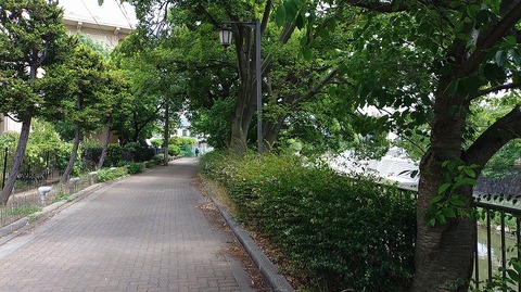 KIMG20260606_125326741