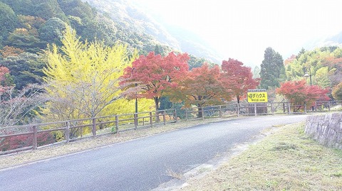 KIMG20251114_111908605